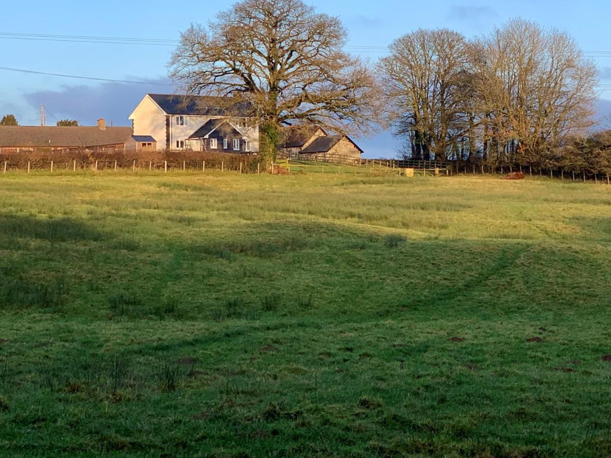 Maen Llwyd Villa Llanyre Exterior foto
